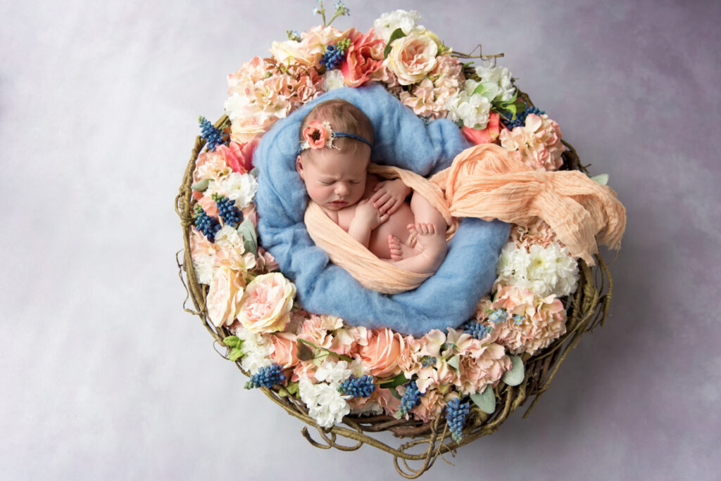 Baby liegt in Blumenschale Peach and Berries Fotografie Graz