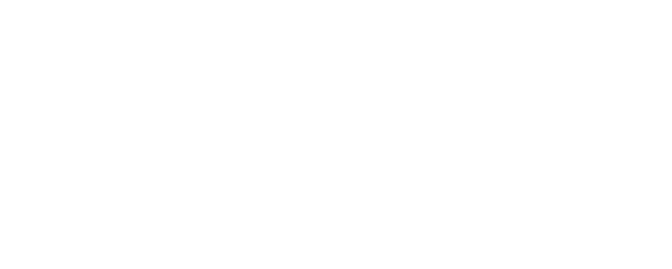 Logo Peach and Berries Fotografie Graz
